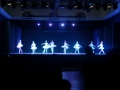 Danzainfiera_2013_002.jpg